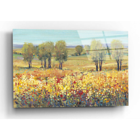 Epic Art 'Golden Fields I' by Tim O'Toole, Acrylic Glass Wall Art