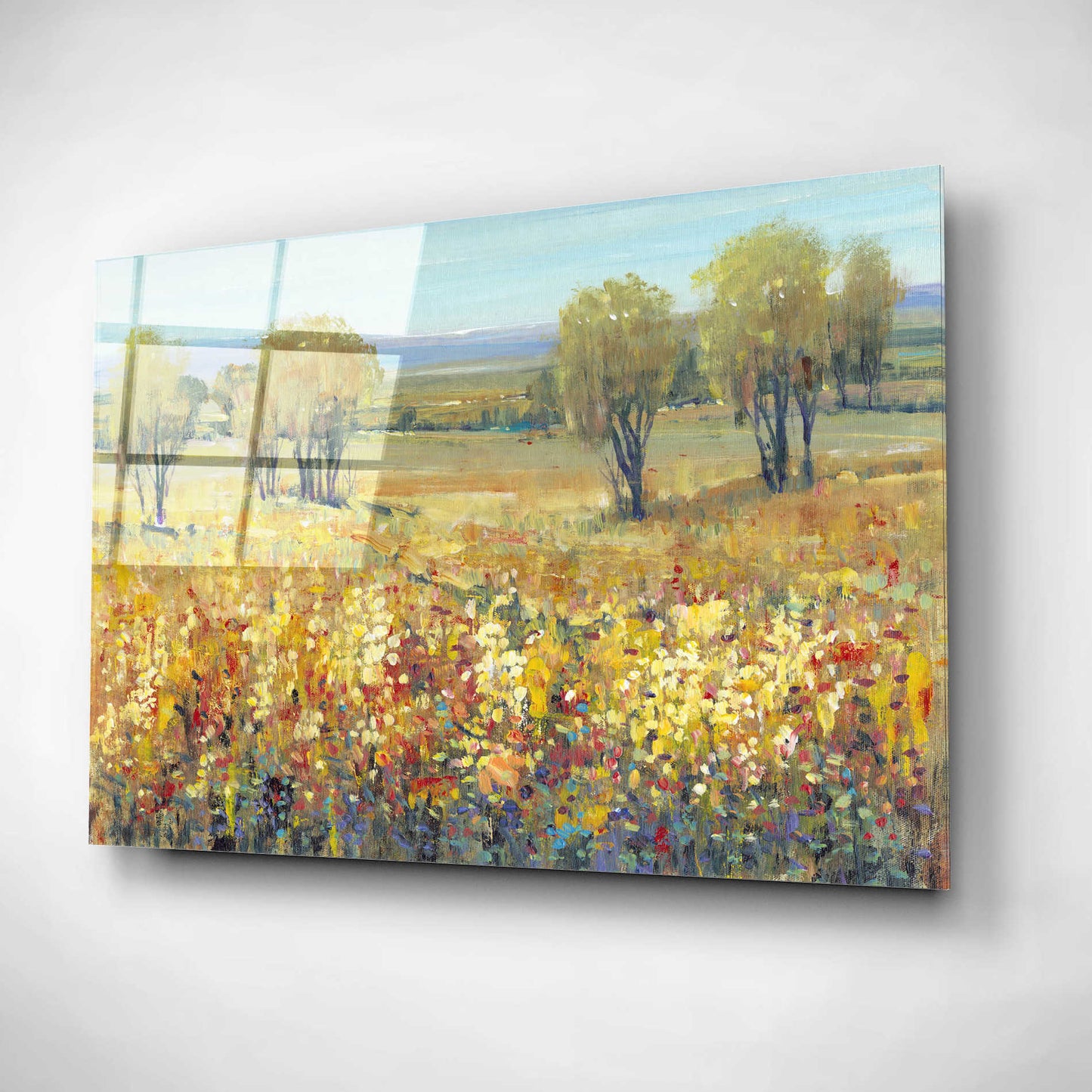 Epic Art 'Golden Fields II' by Tim O'Toole, Acrylic Glass Wall Art,16x12