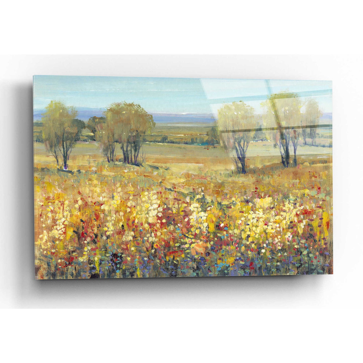 Epic Art 'Golden Fields II' by Tim O'Toole, Acrylic Glass Wall Art,16x12