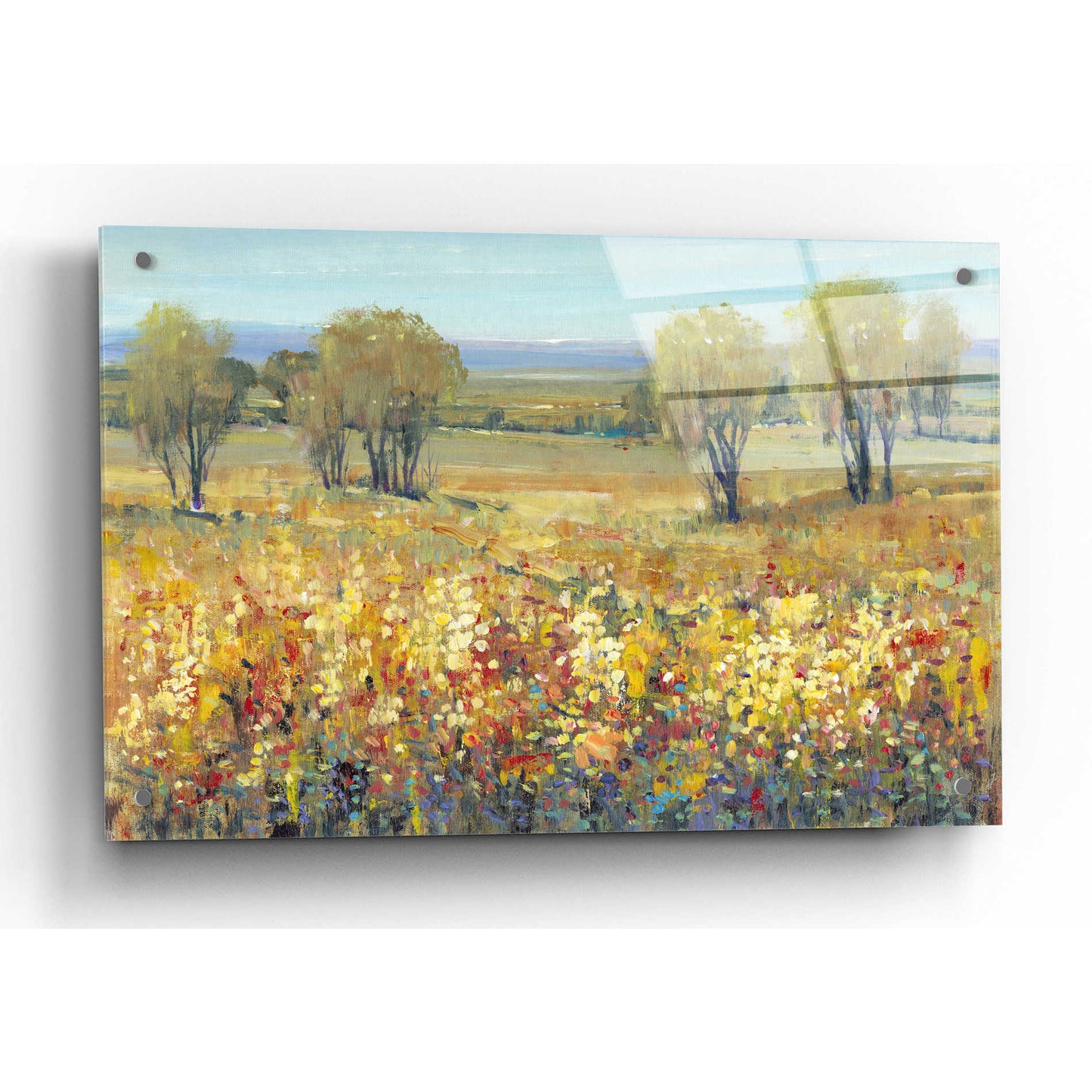 Epic Art 'Golden Fields II' by Tim O'Toole, Acrylic Glass Wall Art,36x24