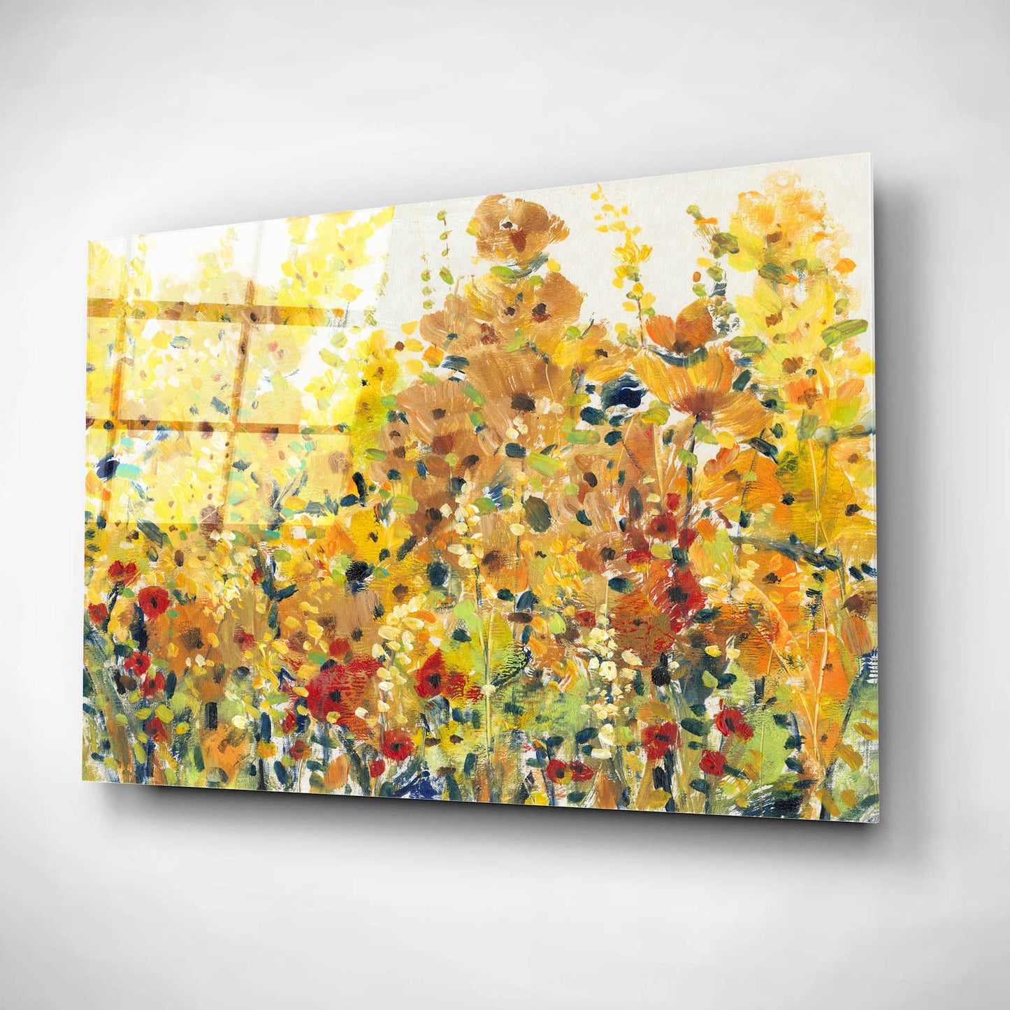 Epic Art 'Golden Summer Garden I' by Tim O'Toole, Acrylic Glass Wall Art,16x12