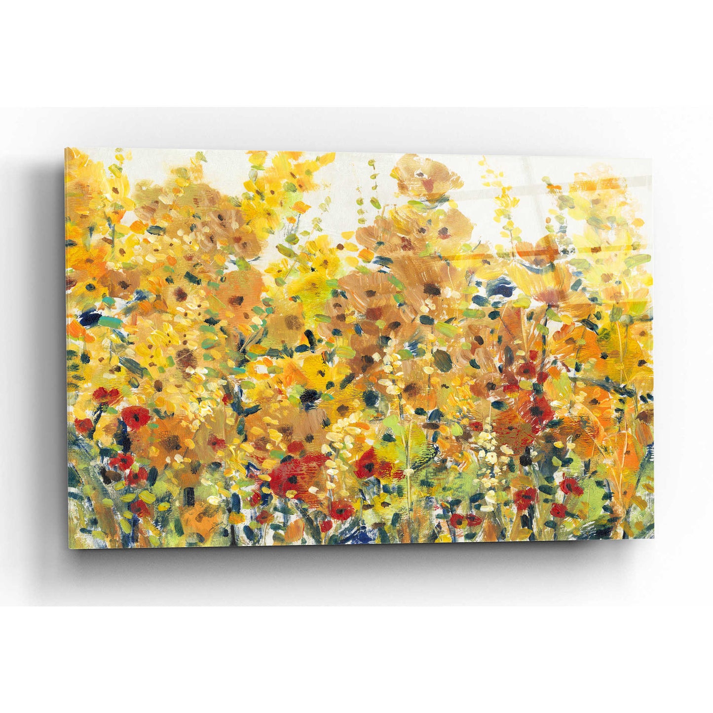 Epic Art 'Golden Summer Garden I' by Tim O'Toole, Acrylic Glass Wall Art,16x12