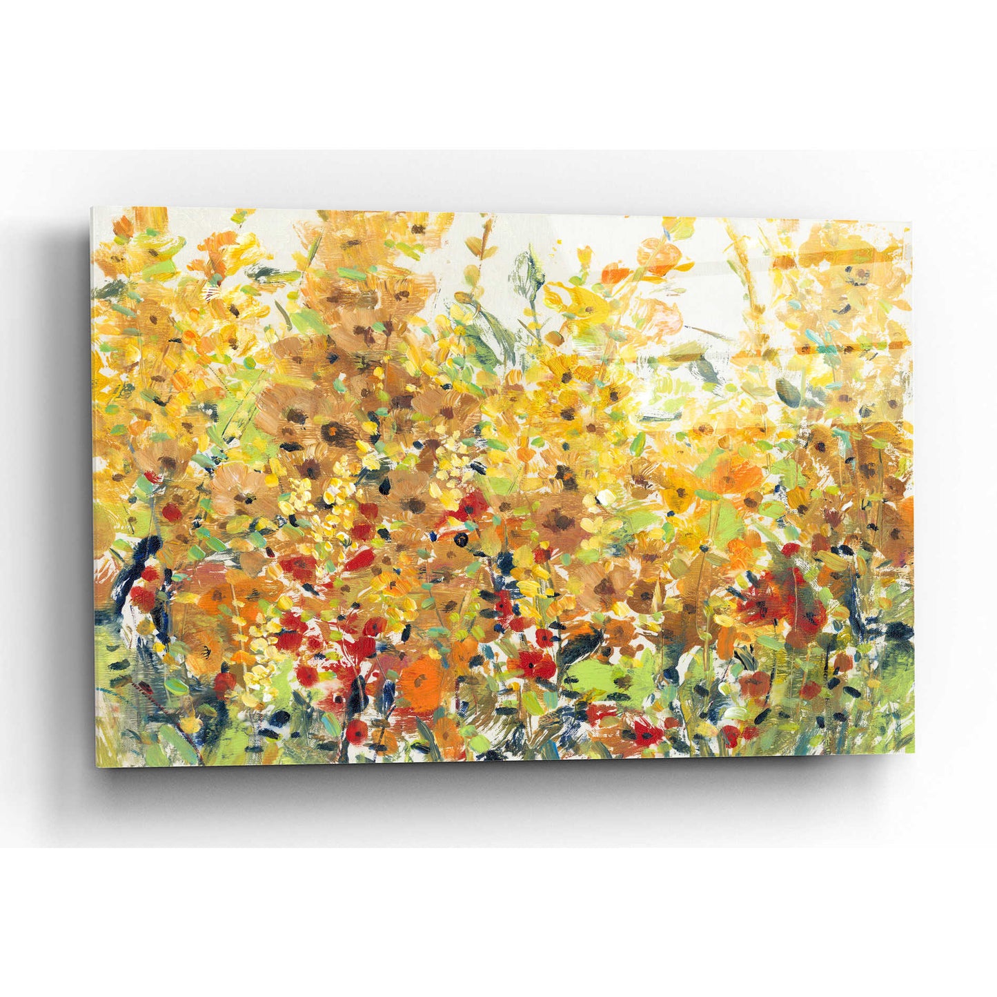 Epic Art 'Golden Summer Garden II' by Tim O'Toole, Acrylic Glass Wall Art,16x12