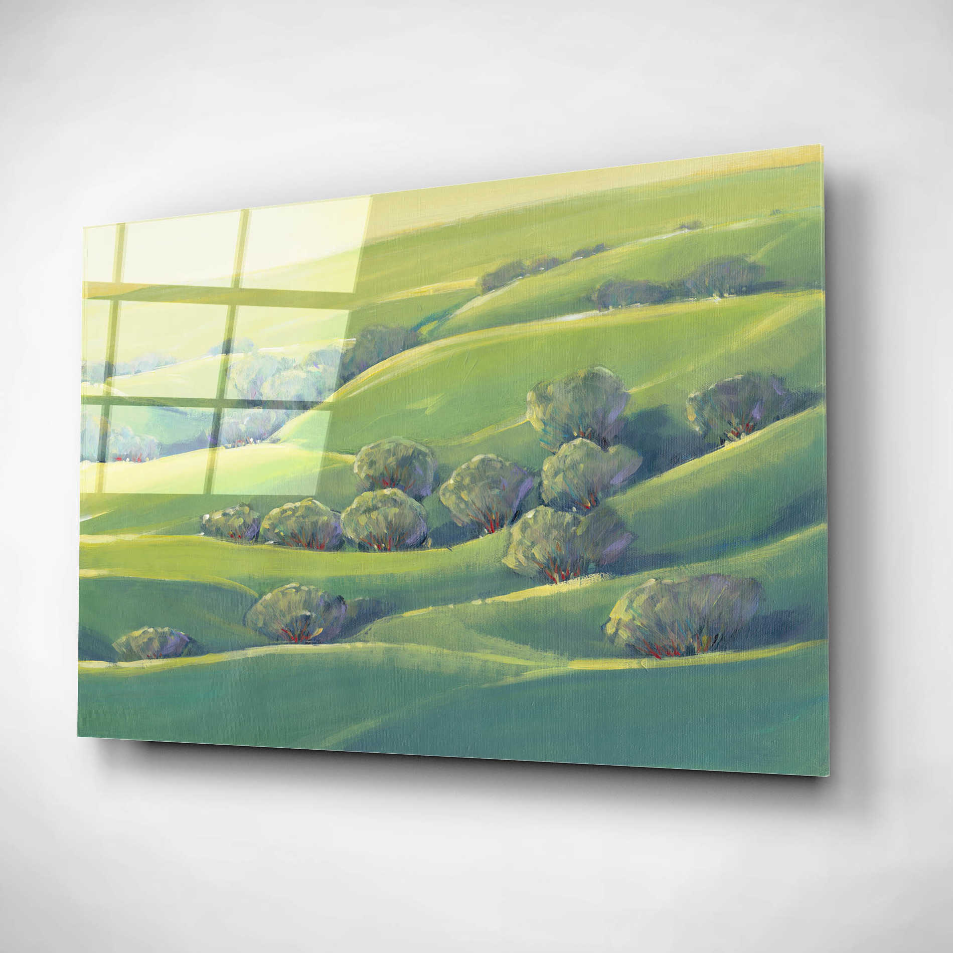 Epic Art 'Hillside View I' by Tim O'Toole, Acrylic Glass Wall Art,16x12