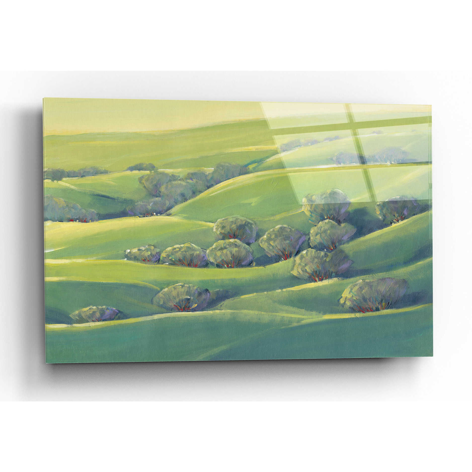 Epic Art 'Hillside View I' by Tim O'Toole, Acrylic Glass Wall Art,16x12
