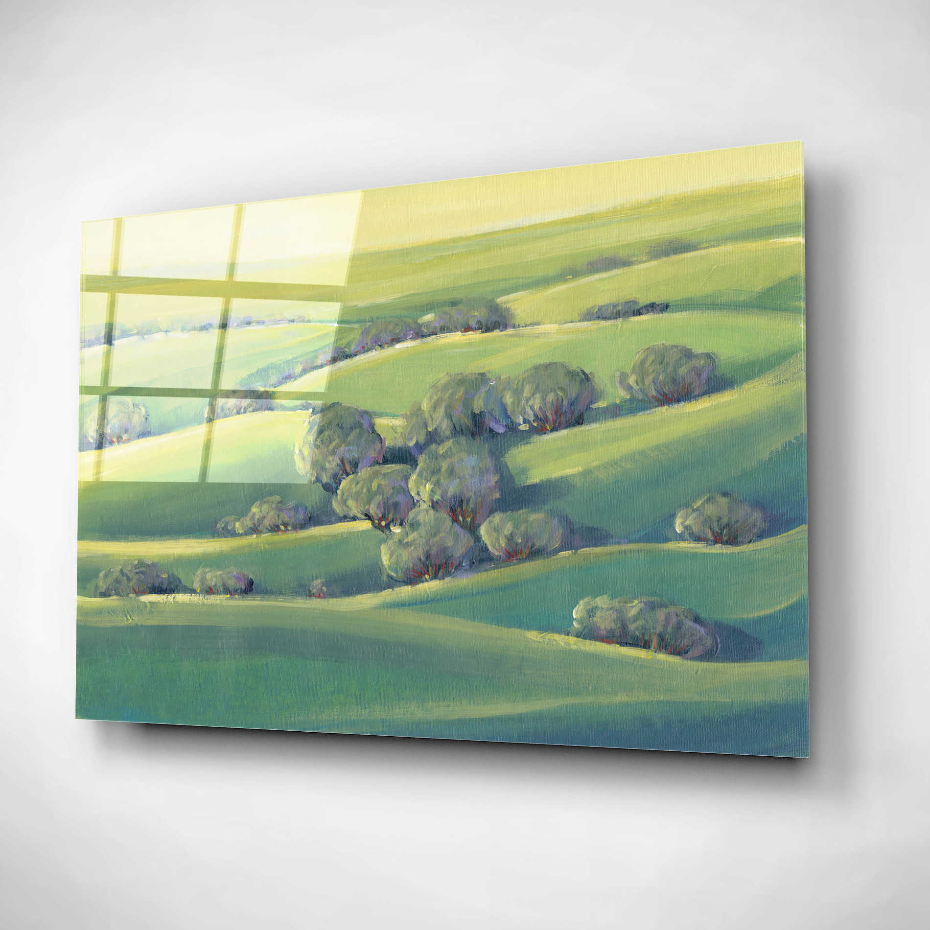 Epic Art 'Hillside View II' by Tim O'Toole, Acrylic Glass Wall Art,16x12