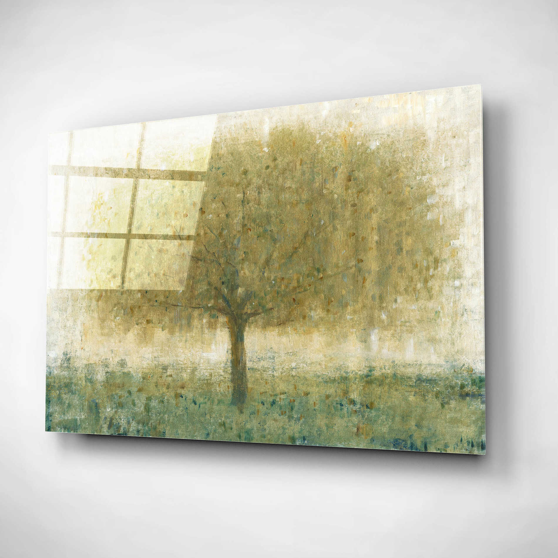 Epic Art 'Summer Day Tree I' by Tim O'Toole, Acrylic Glass Wall Art,16x12