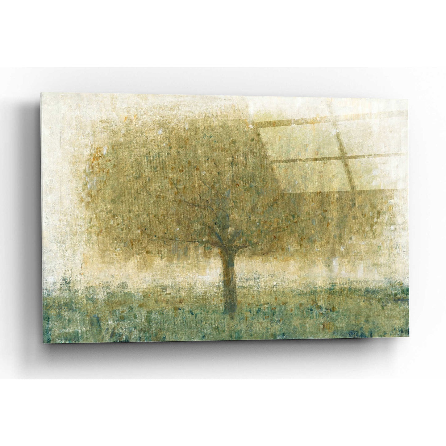 Epic Art 'Summer Day Tree I' by Tim O'Toole, Acrylic Glass Wall Art