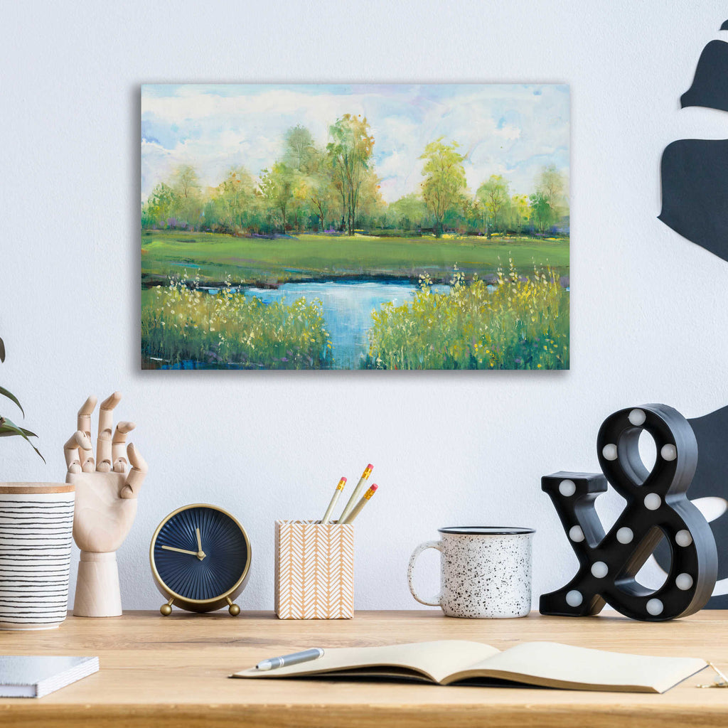 Epic Art 'Tranquil Park II' by Tim O'Toole, Acrylic Glass Wall Art,16x12