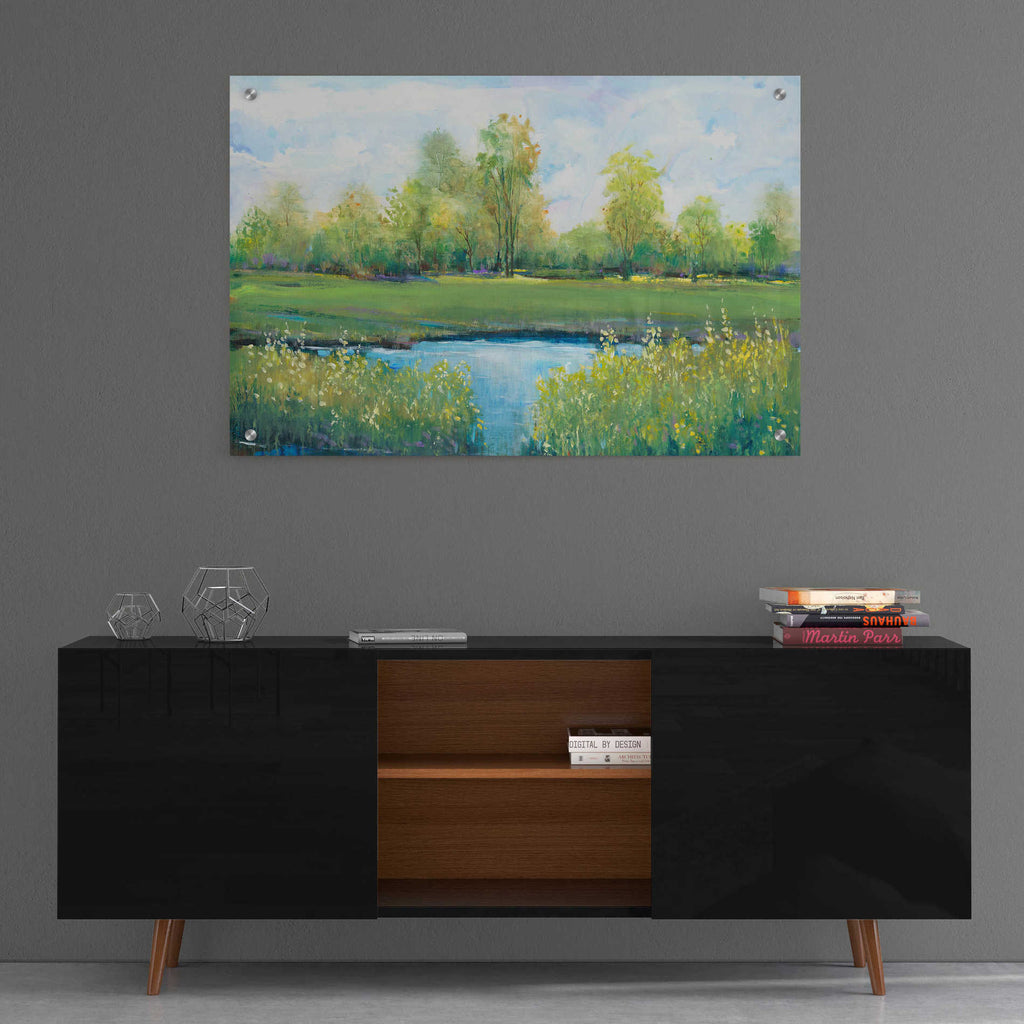 Epic Art 'Tranquil Park II' by Tim O'Toole, Acrylic Glass Wall Art,36x24