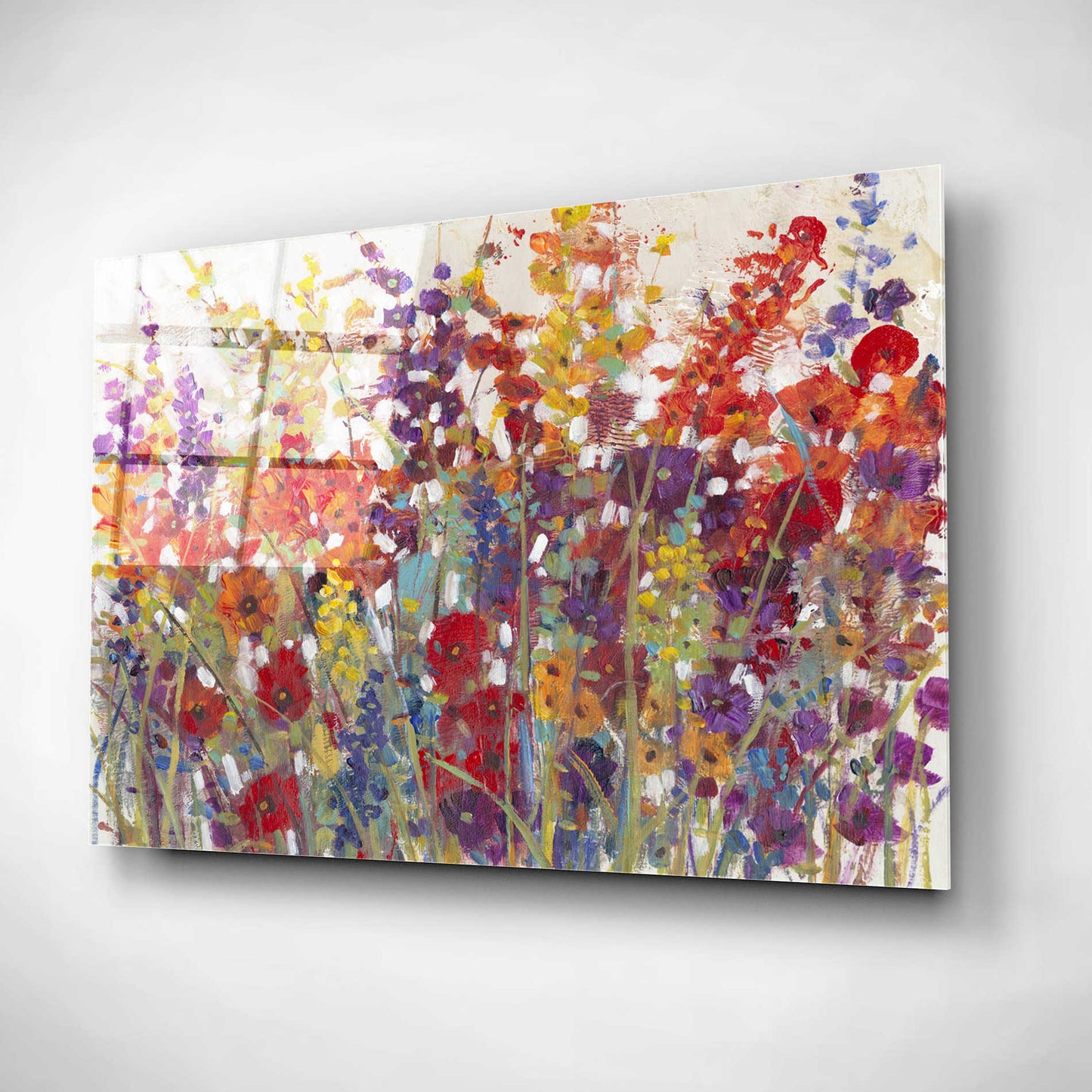 Epic Art 'Variety of Flowers II' by Tim O'Toole, Acrylic Glass Wall Art,16x12