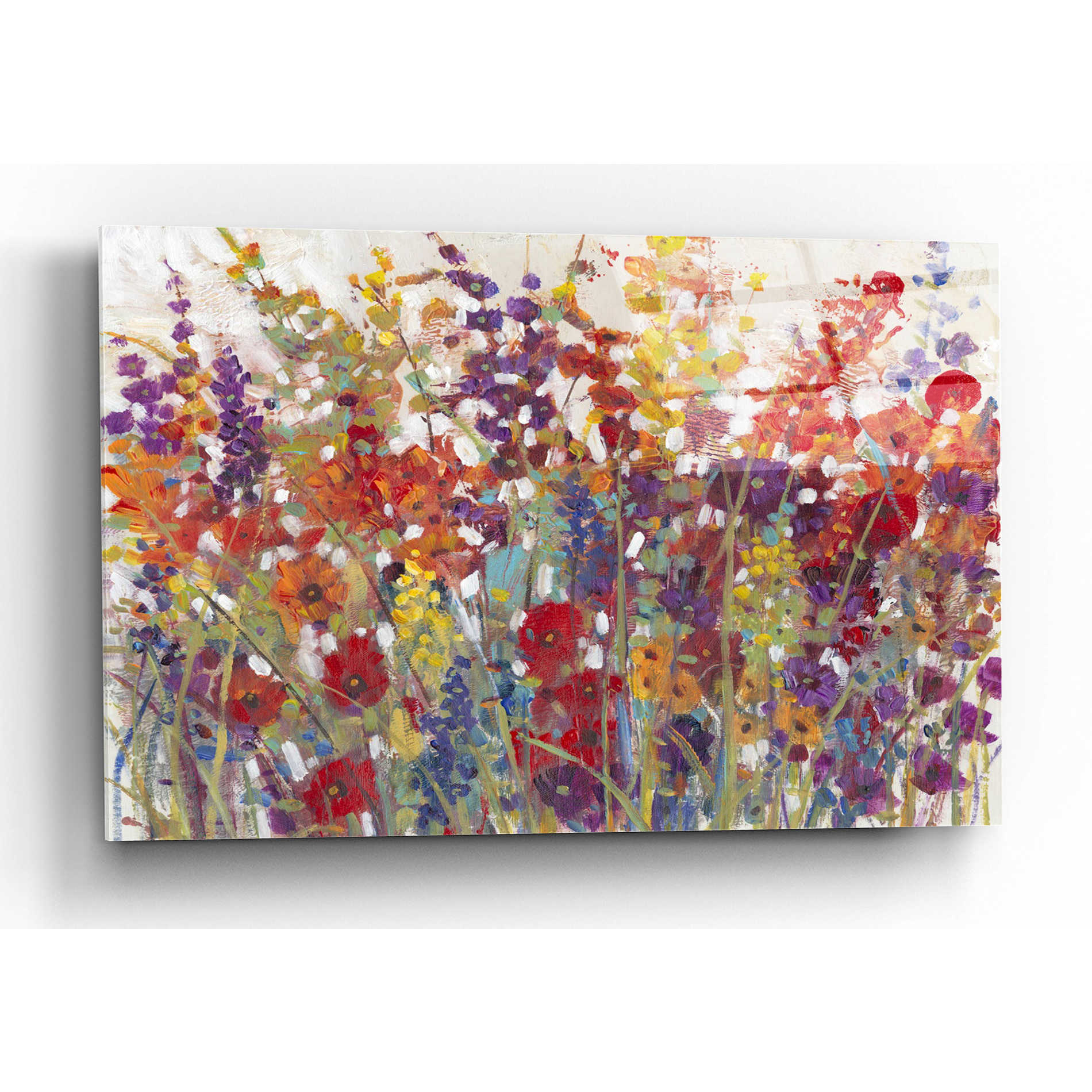 Epic Art 'Variety of Flowers II' by Tim O'Toole, Acrylic Glass Wall Art,16x12