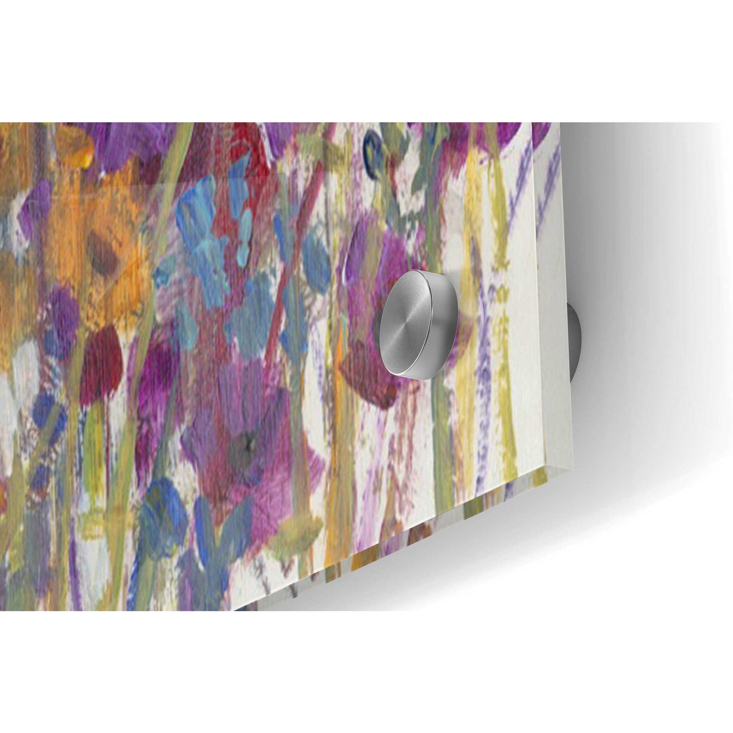 Epic Art 'Variety of Flowers II' by Tim O'Toole, Acrylic Glass Wall Art,36x24