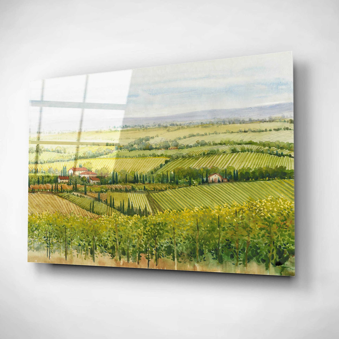 Epic Art 'Wine Country View I' by Tim O'Toole, Acrylic Glass Wall Art,16x12