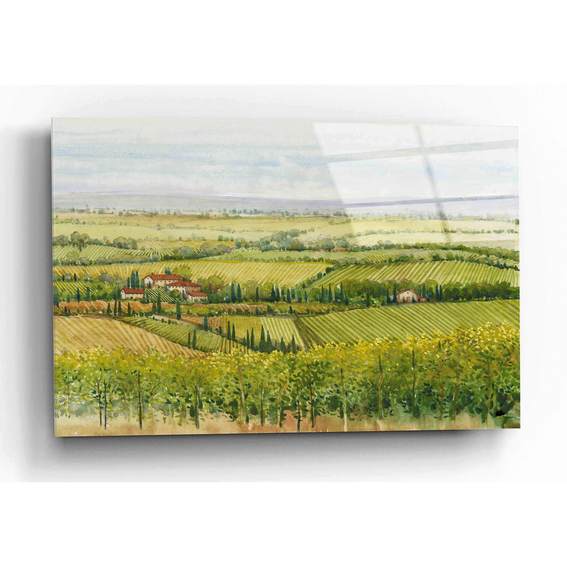 Epic Art 'Wine Country View I' by Tim O'Toole, Acrylic Glass Wall Art,16x12