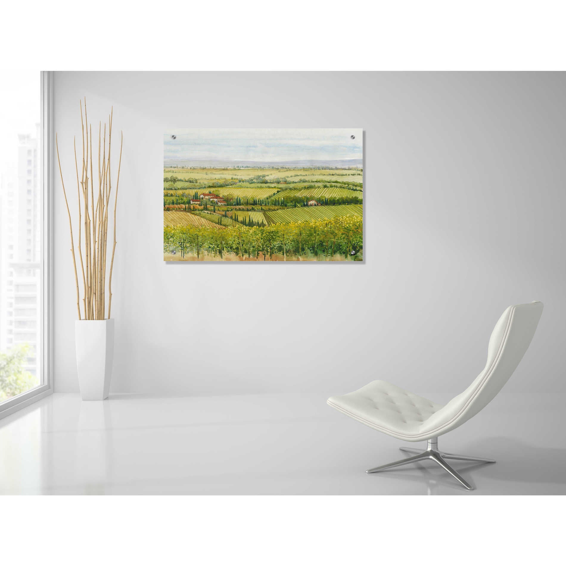 Epic Art 'Wine Country View I' by Tim O'Toole, Acrylic Glass Wall Art,36x24