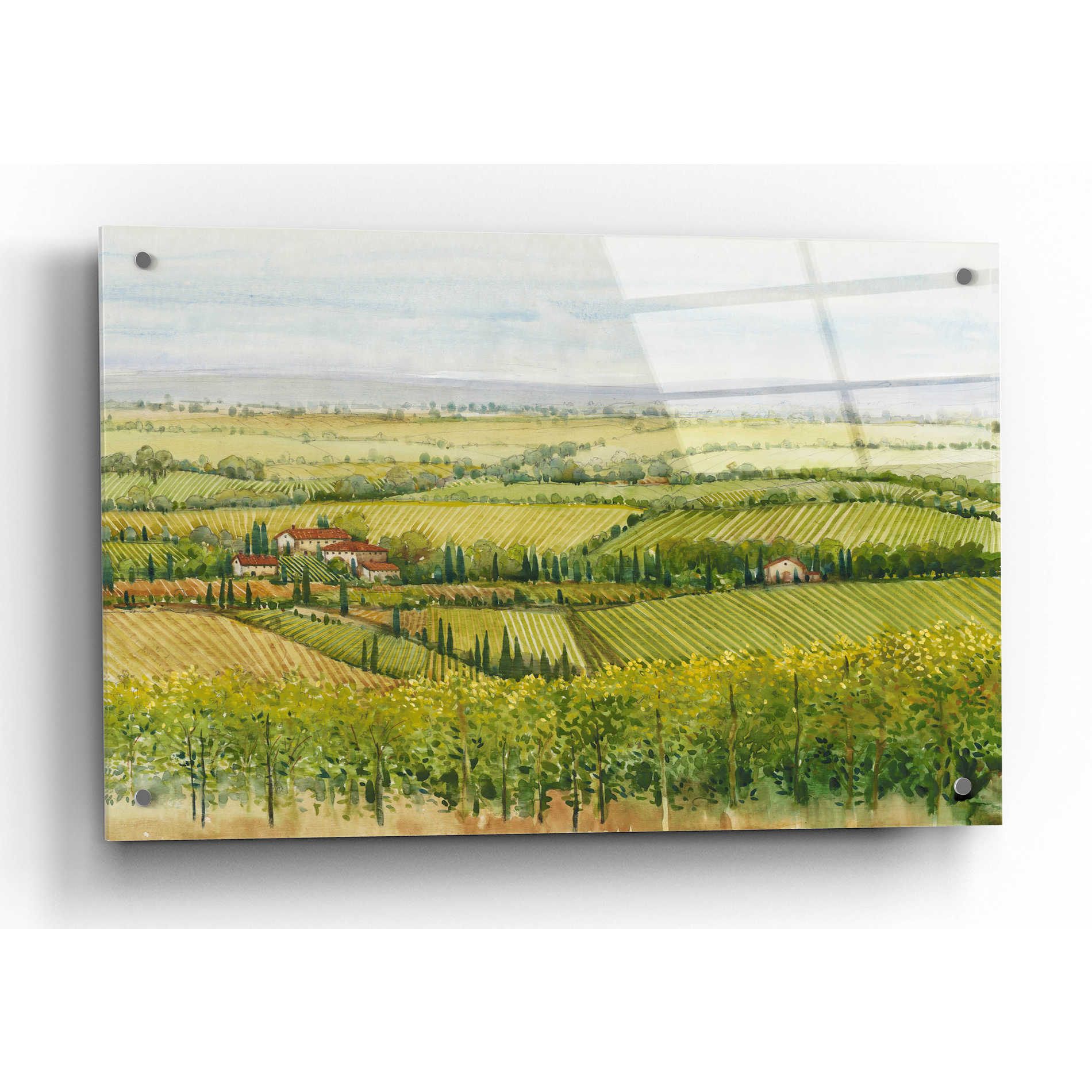 Epic Art 'Wine Country View I' by Tim O'Toole, Acrylic Glass Wall Art,36x24