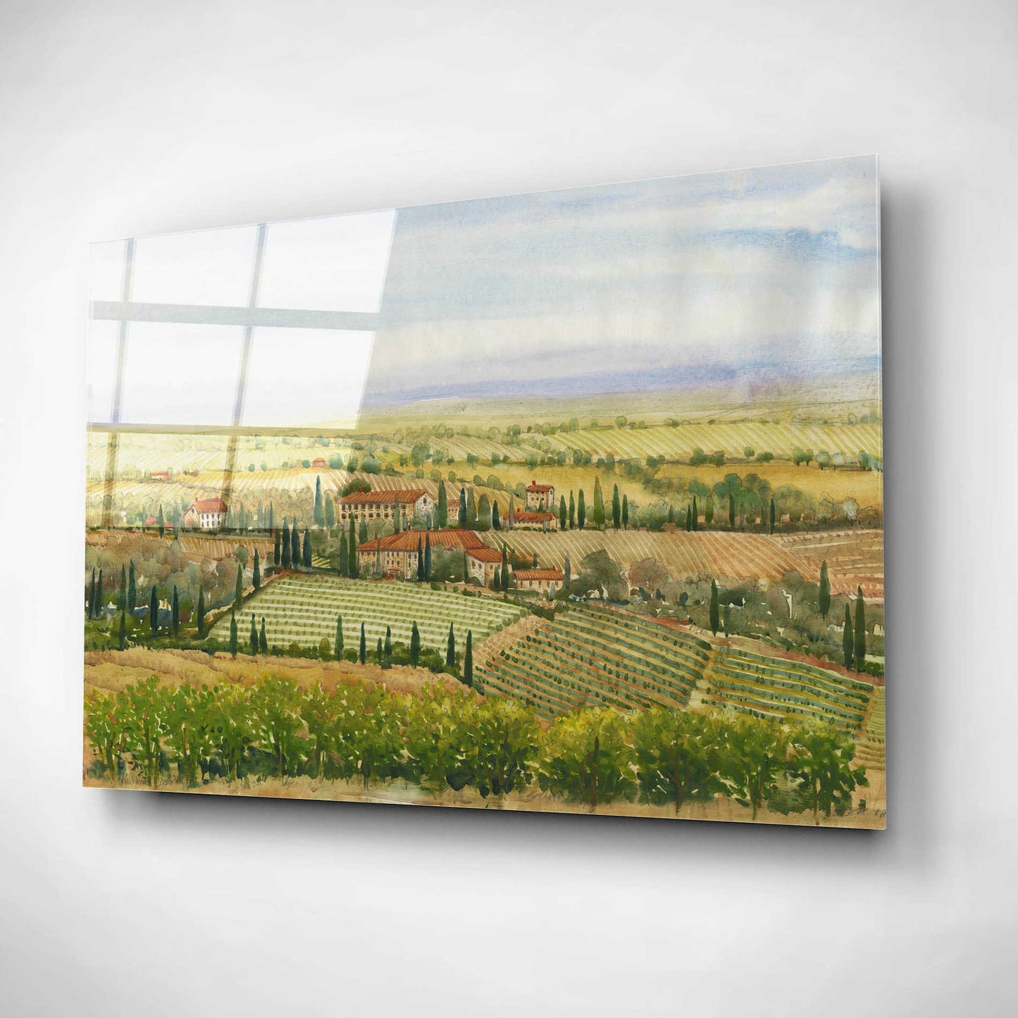 Epic Art 'Wine Country View II' by Tim O'Toole, Acrylic Glass Wall Art,16x12