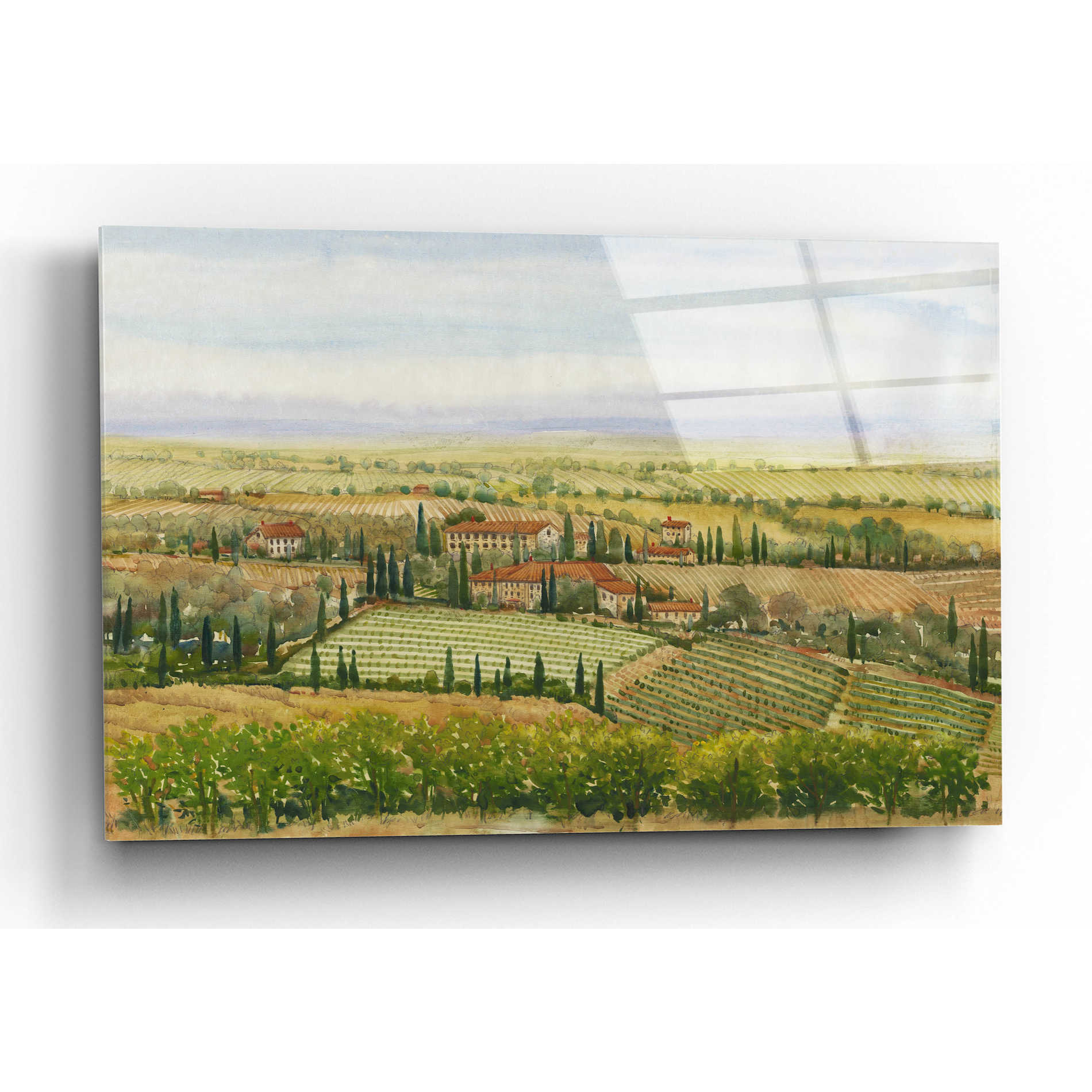 Epic Art 'Wine Country View II' by Tim O'Toole, Acrylic Glass Wall Art,16x12