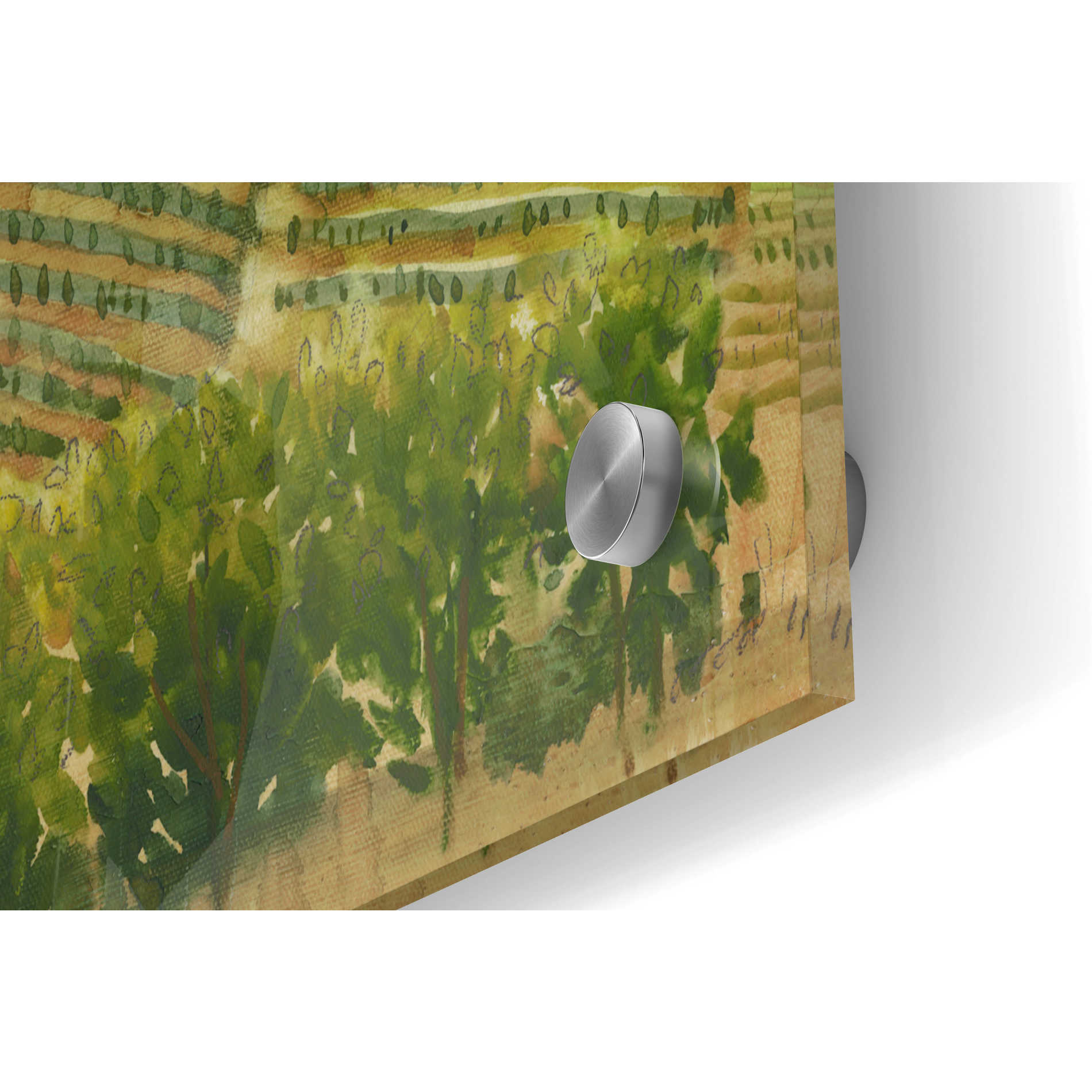 Epic Art 'Wine Country View II' by Tim O'Toole, Acrylic Glass Wall Art,36x24