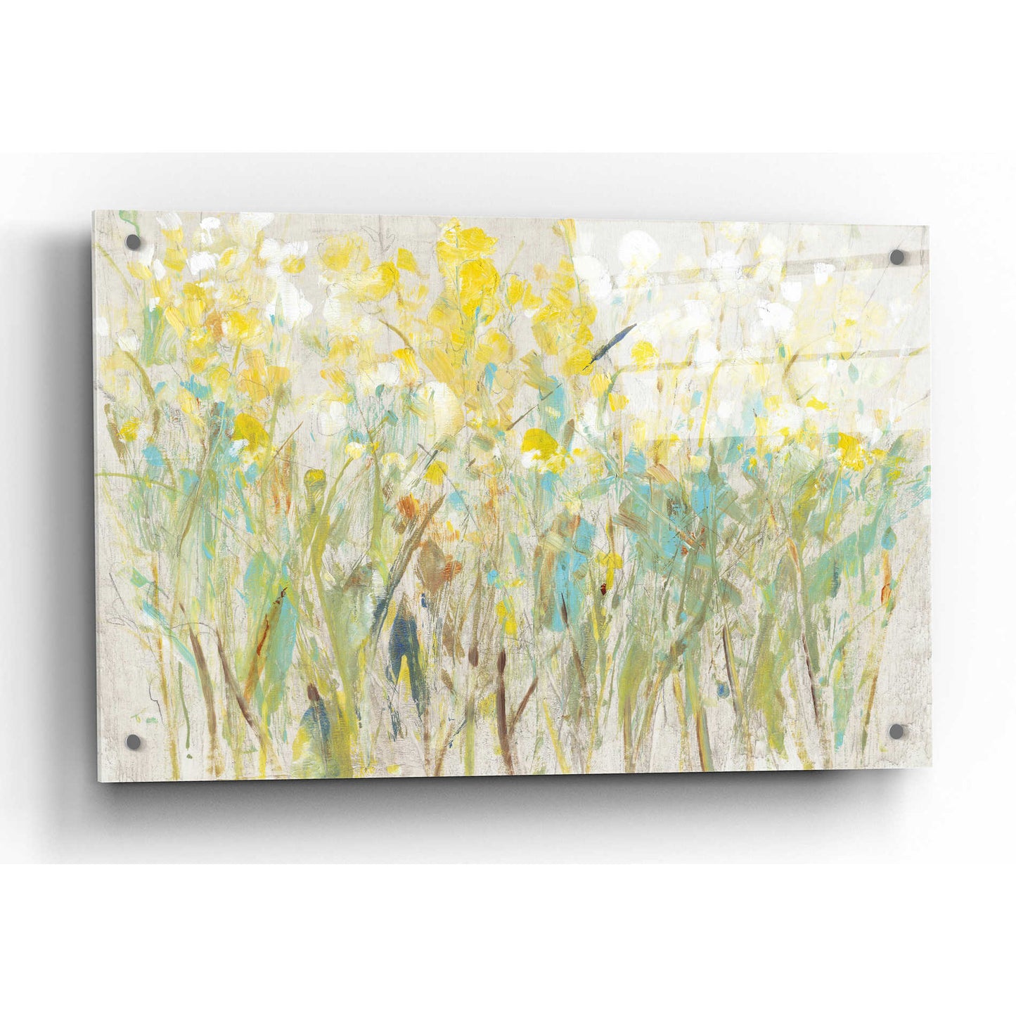 Epic Art 'Floral Cluster I' by Tim O'Toole, Acrylic Glass Wall Art,36x24