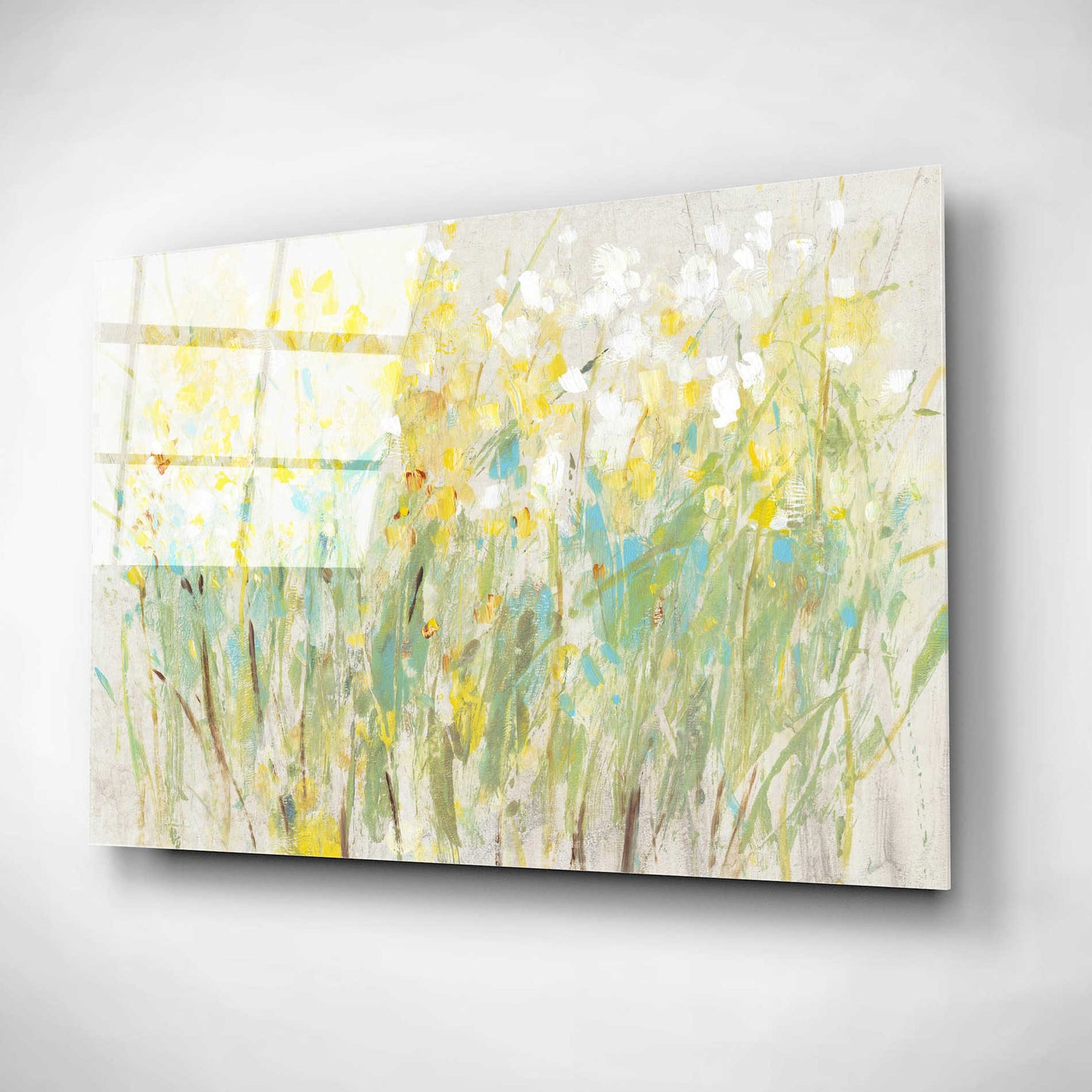 Epic Art 'Floral Cluster II' by Tim O'Toole, Acrylic Glass Wall Art,16x12