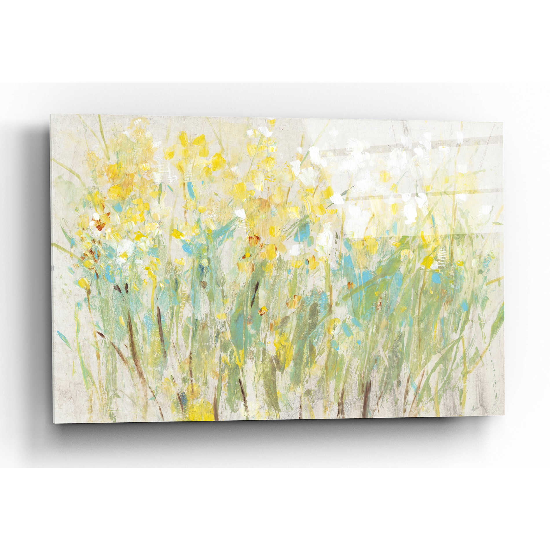 Epic Art 'Floral Cluster II' by Tim O'Toole, Acrylic Glass Wall Art,16x12