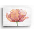 Epic Art 'Single Pink Bloom I' by Tim O'Toole, Acrylic Glass Wall Art
