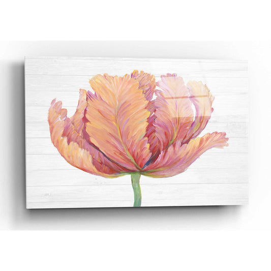 Epic Art 'Single Pink Bloom I' by Tim O'Toole, Acrylic Glass Wall Art