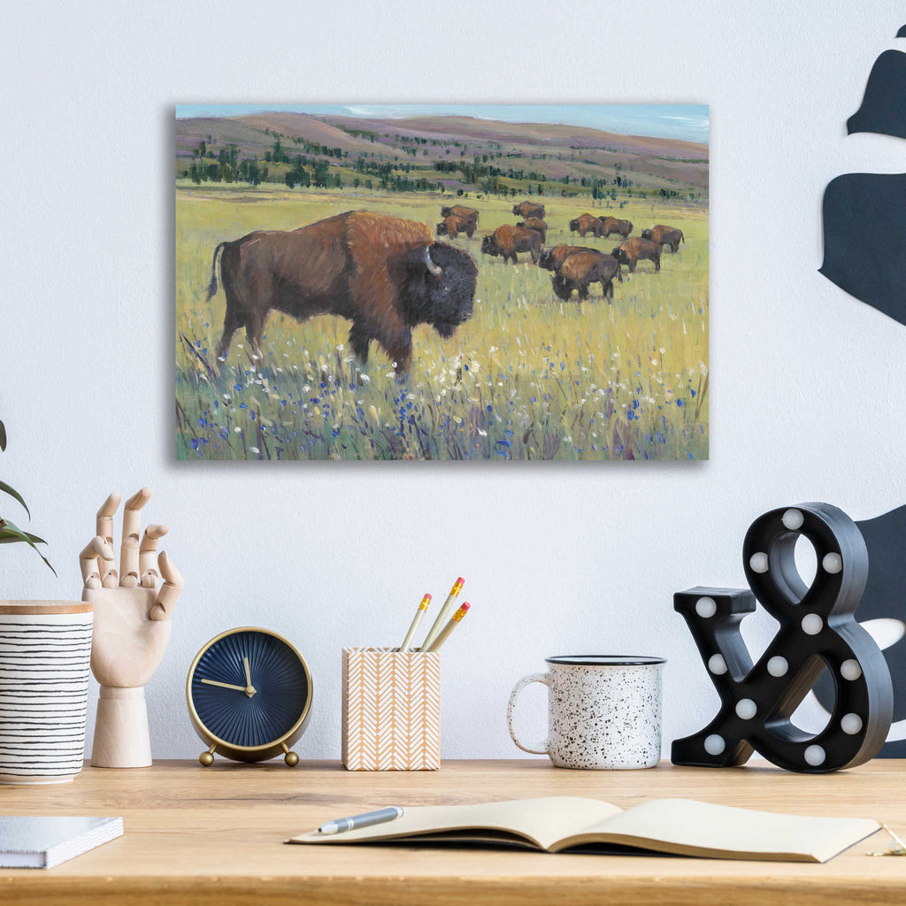 Epic Art 'Animals of the West I' by Tim O'Toole, Acrylic Glass Wall Art,16x12