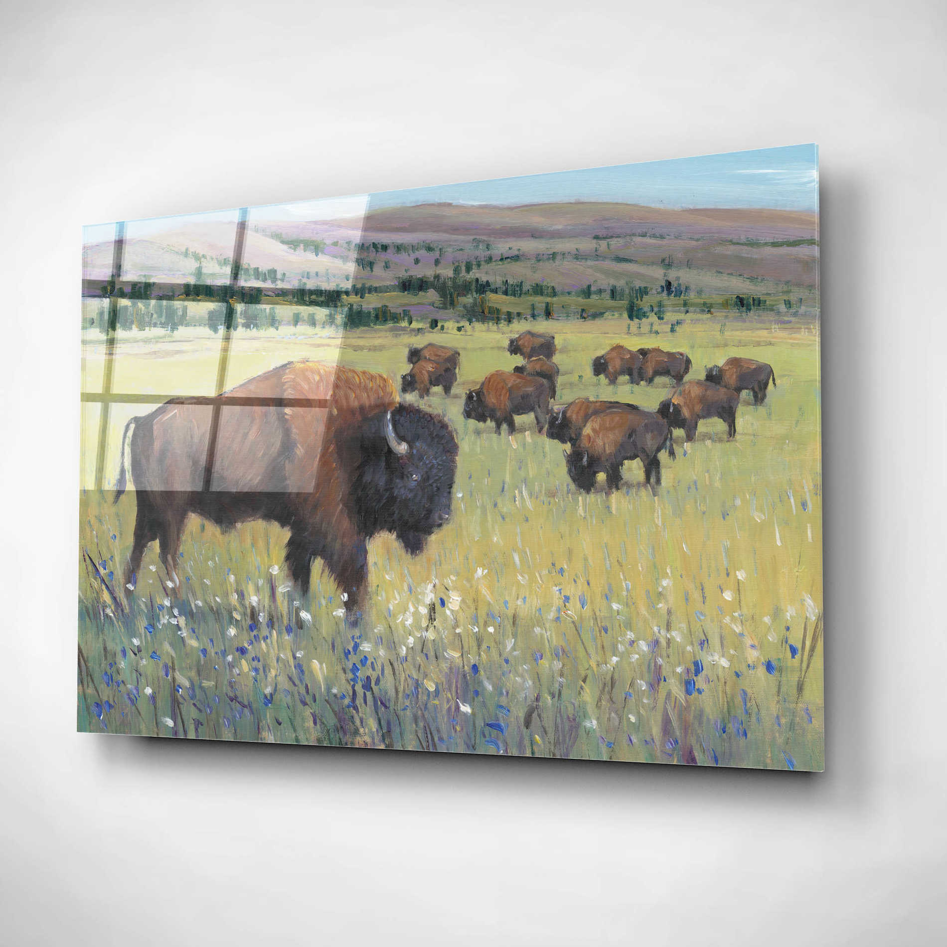Epic Art 'Animals of the West I' by Tim O'Toole, Acrylic Glass Wall Art,24x16