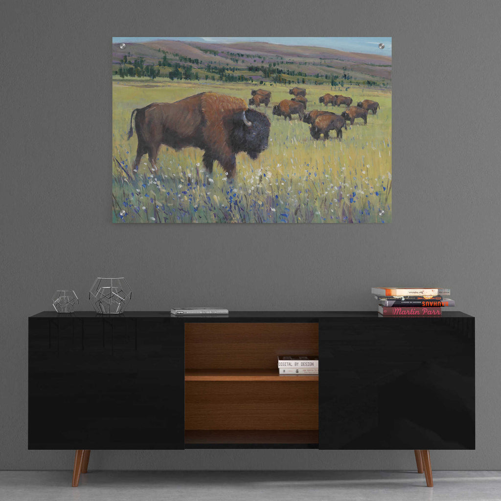 Epic Art 'Animals of the West I' by Tim O'Toole, Acrylic Glass Wall Art,36x24