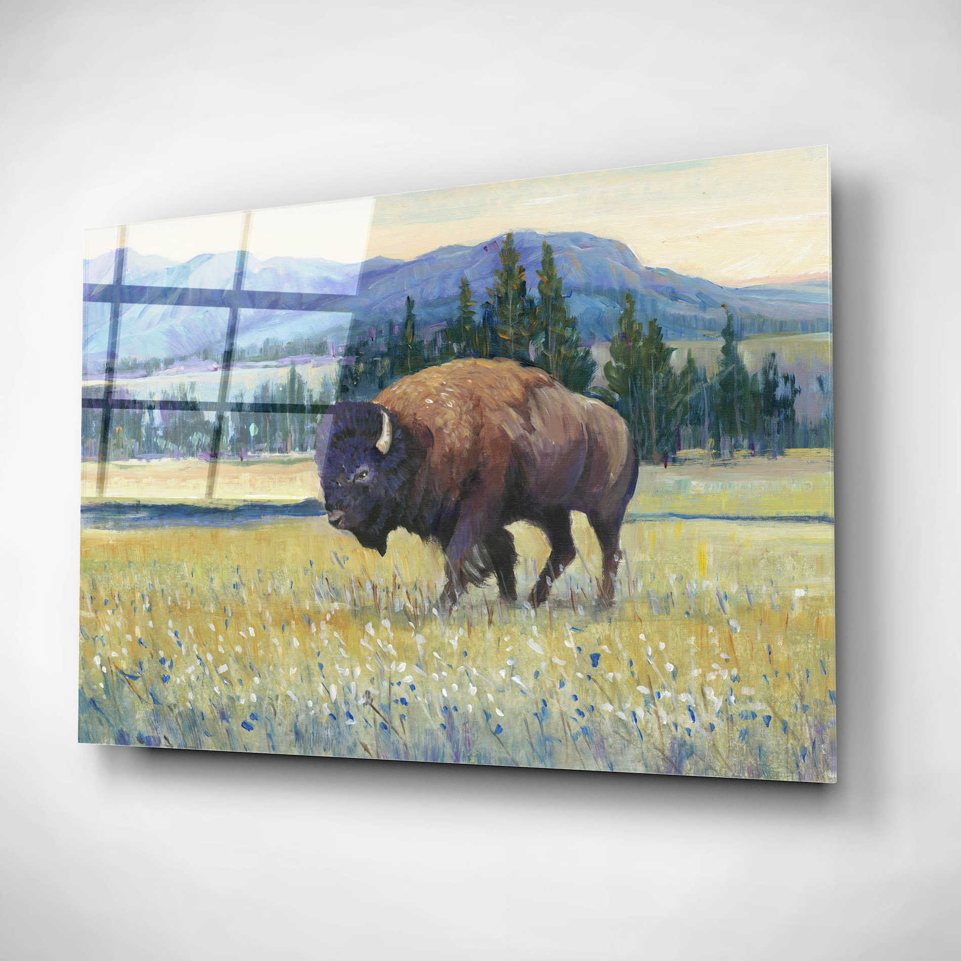 Epic Art 'Animals of the West II' by Tim O'Toole, Acrylic Glass Wall Art,24x16