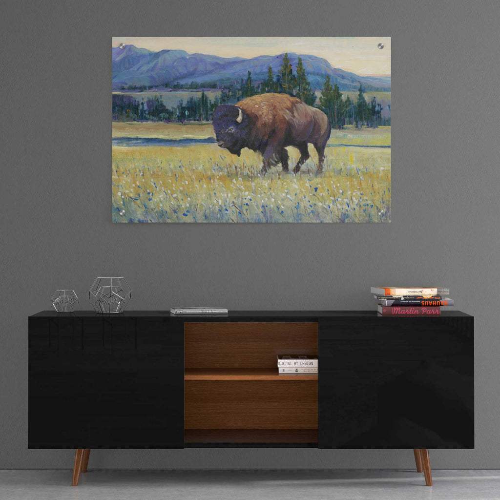 Epic Art 'Animals of the West II' by Tim O'Toole, Acrylic Glass Wall Art,36x24