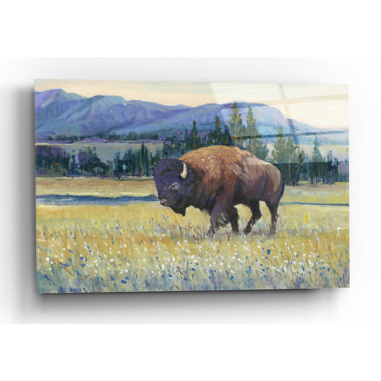 Epic Art 'Animals of the West II' by Tim O'Toole, Acrylic Glass Wall Art