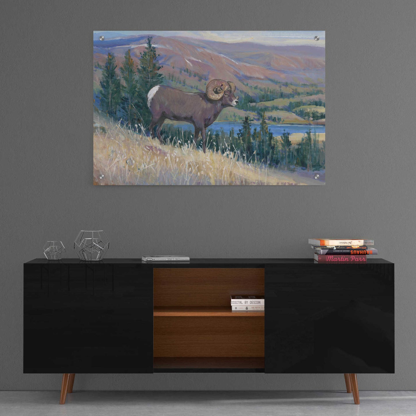 Epic Art 'Animals of the West III' by Tim O'Toole, Acrylic Glass Wall Art,36x24