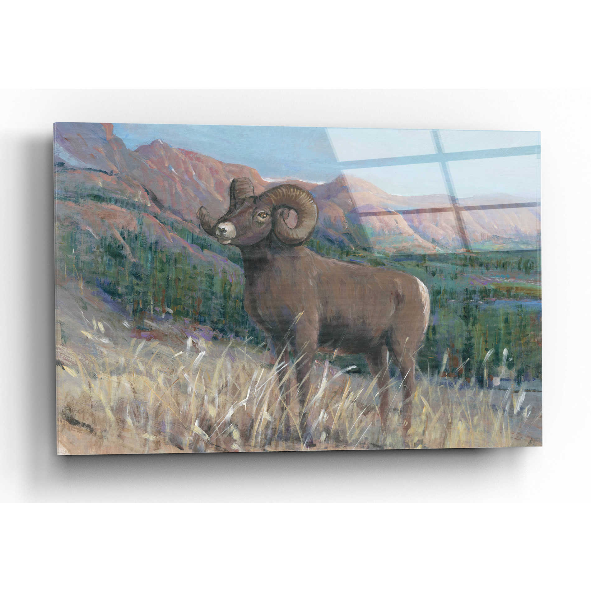 Epic Art 'Animals of the West IV' by Tim O'Toole, Acrylic Glass Wall Art,16x12