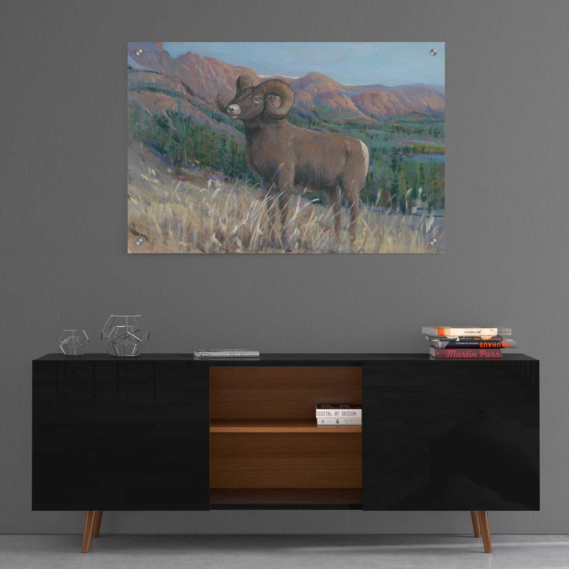 Epic Art 'Animals of the West IV' by Tim O'Toole, Acrylic Glass Wall Art,36x24