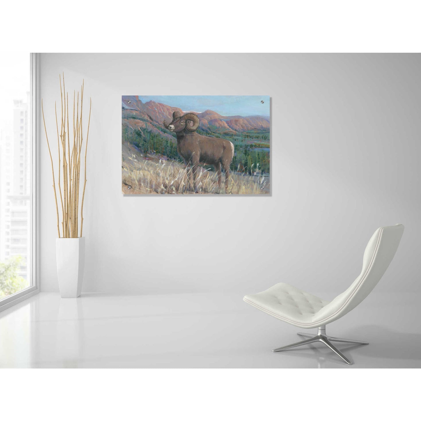 Epic Art 'Animals of the West IV' by Tim O'Toole, Acrylic Glass Wall Art,36x24