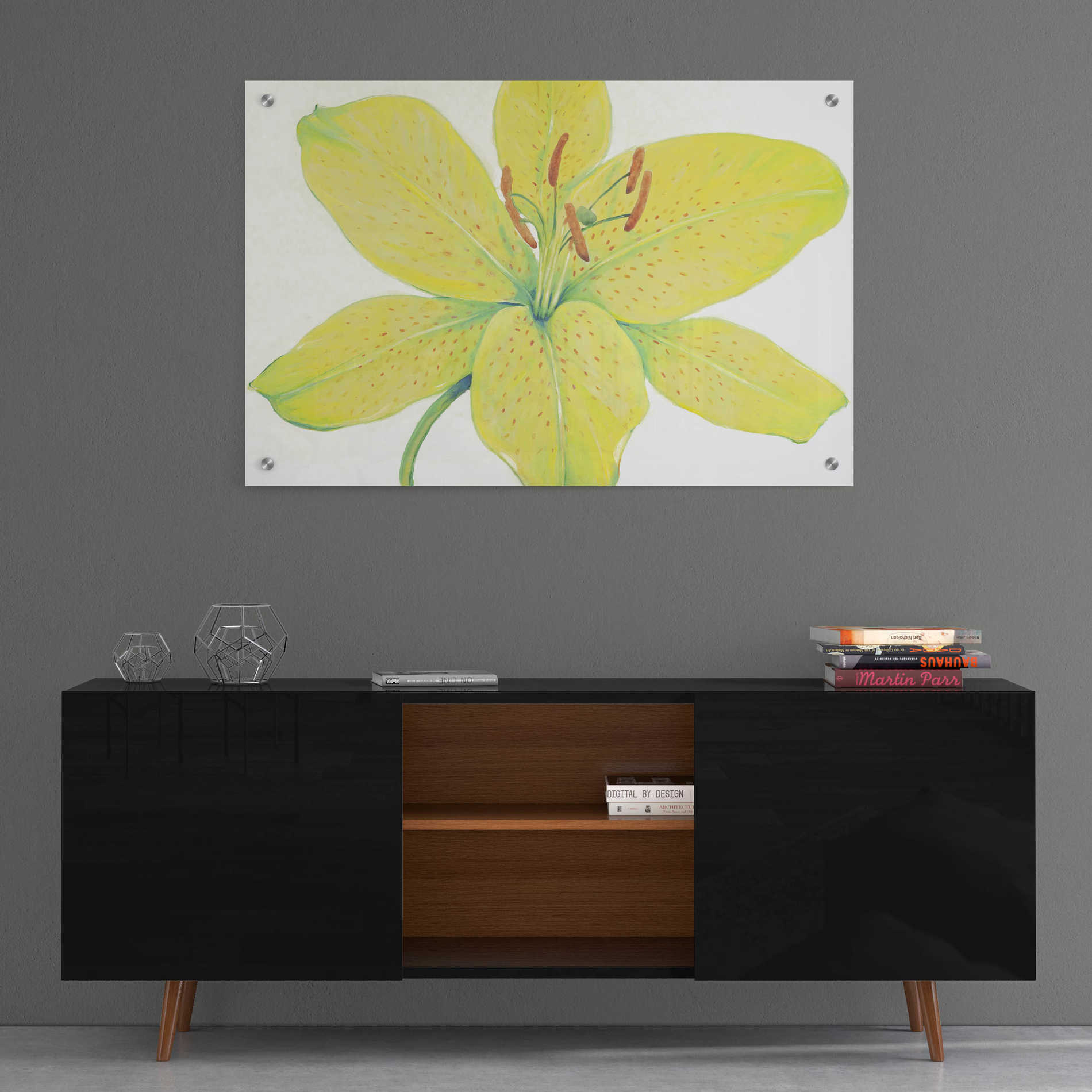 Epic Art 'Citron Tiger Lily I' by Tim O'Toole, Acrylic Glass Wall Art,36x24