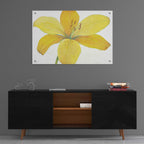 Epic Art 'Citron Tiger Lily II' by Tim O'Toole, Acrylic Glass Wall Art,36x24