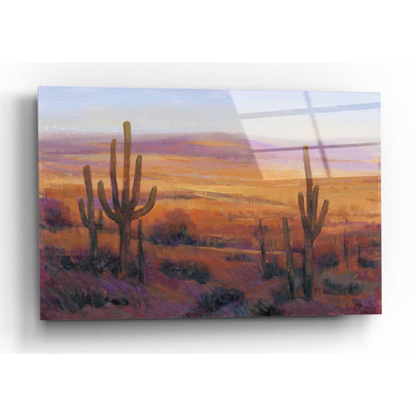 Epic Art 'Desert Light II' by Tim O'Toole, Acrylic Glass Wall Art,24x16