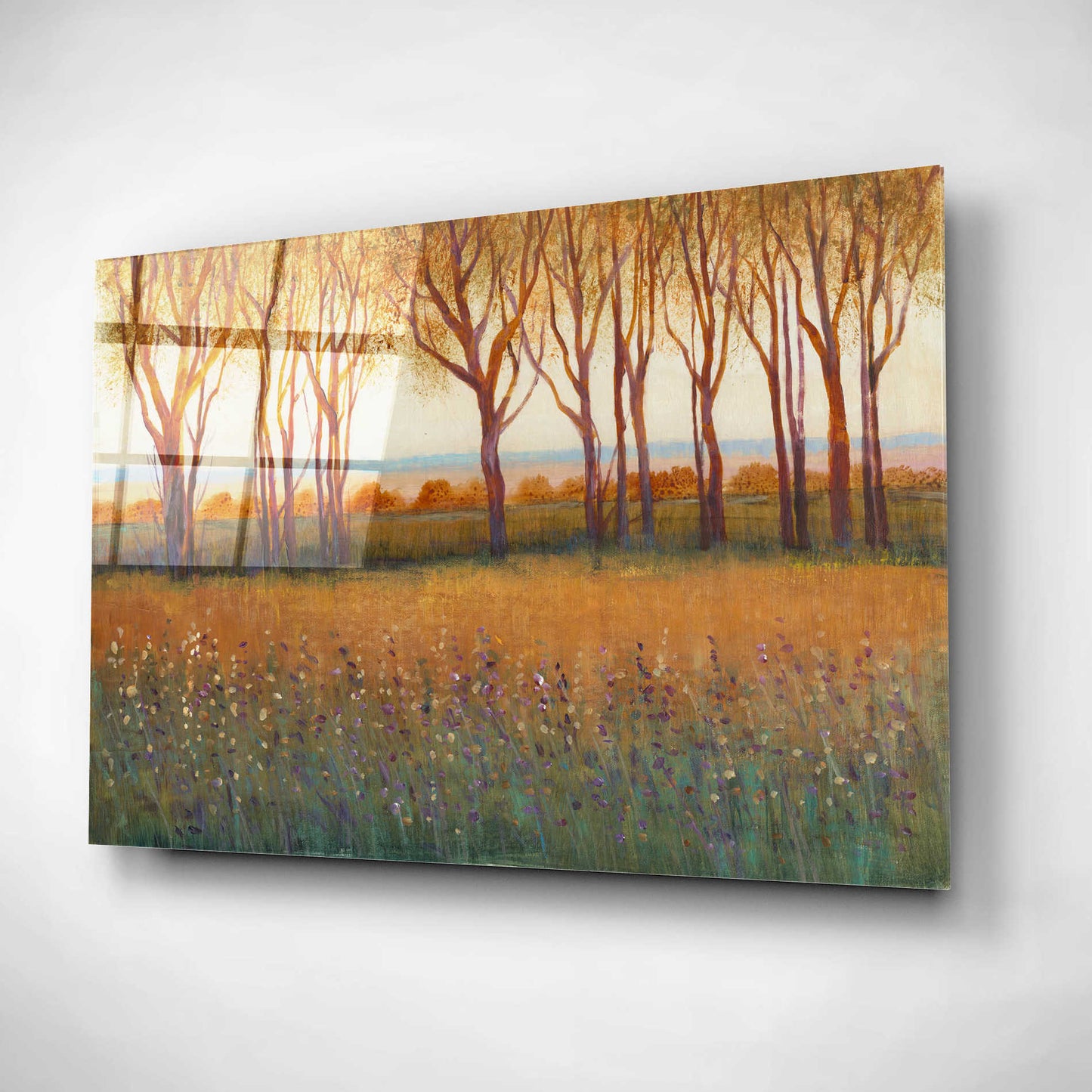 Epic Art 'Glow in the Afternoon I' by Tim O'Toole, Acrylic Glass Wall Art,16x12