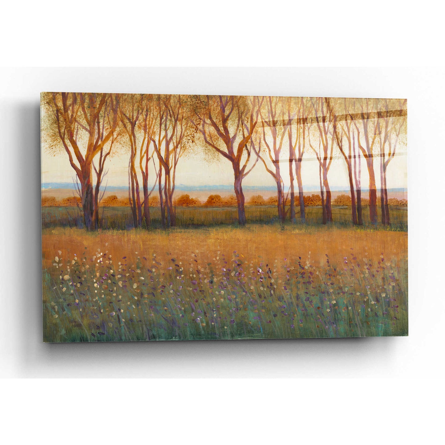 Epic Art 'Glow in the Afternoon I' by Tim O'Toole, Acrylic Glass Wall Art,24x16