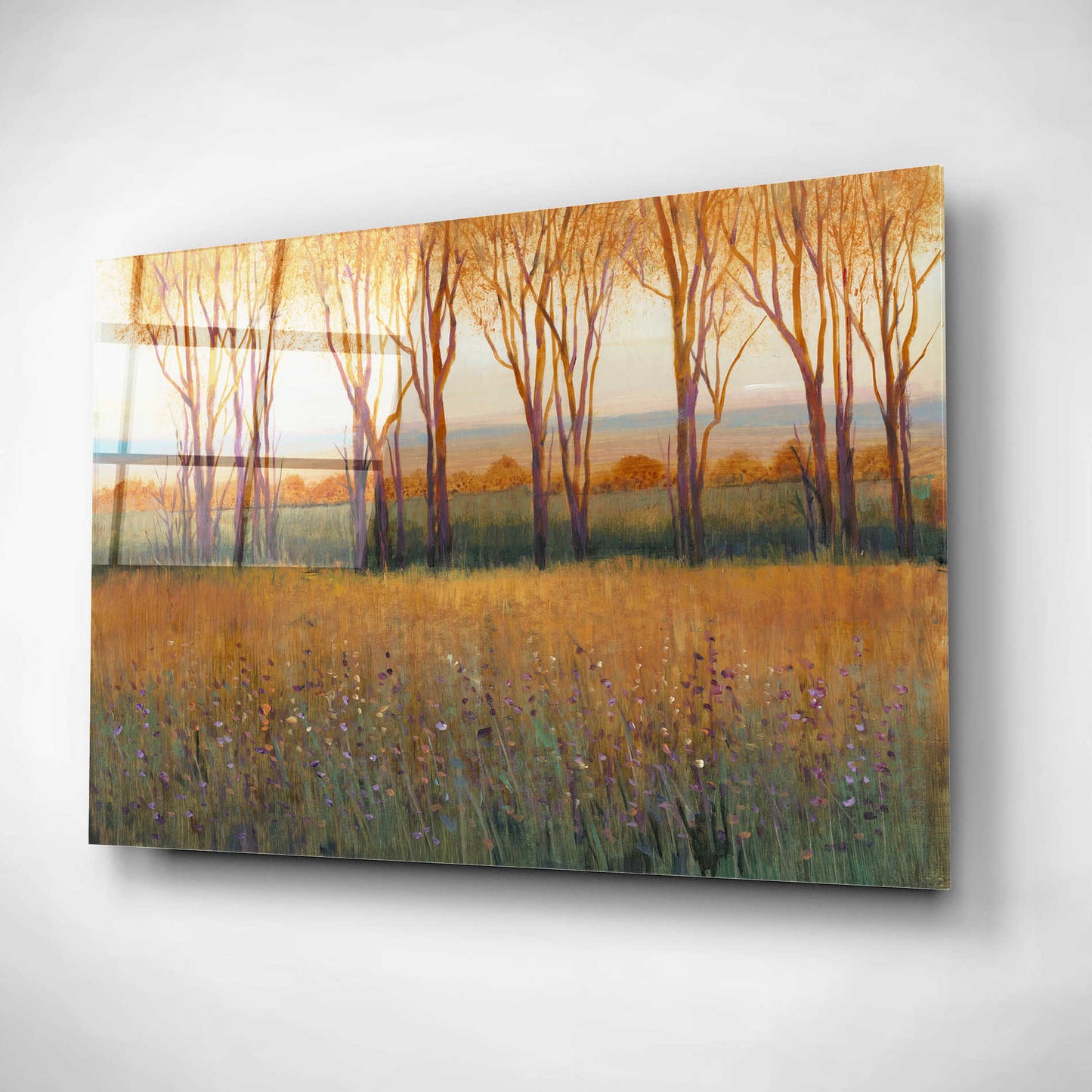 Epic Art 'Glow in the Afternoon II' by Tim O'Toole, Acrylic Glass Wall Art,16x12