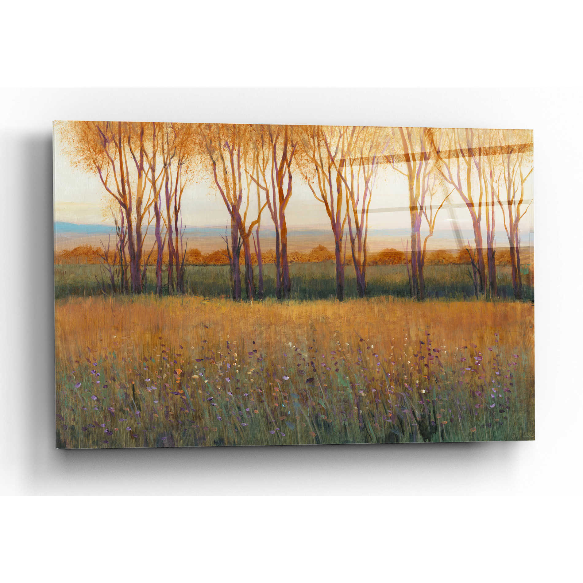 Epic Art 'Glow in the Afternoon II' by Tim O'Toole, Acrylic Glass Wall Art,24x16