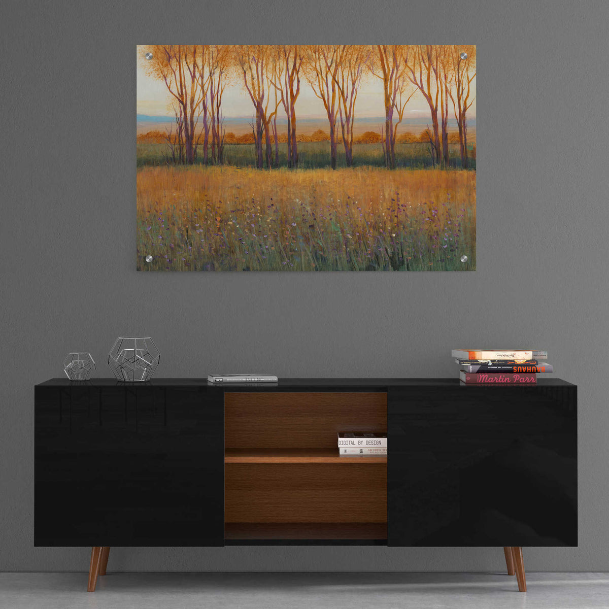 Epic Art 'Glow in the Afternoon II' by Tim O'Toole, Acrylic Glass Wall Art,36x24