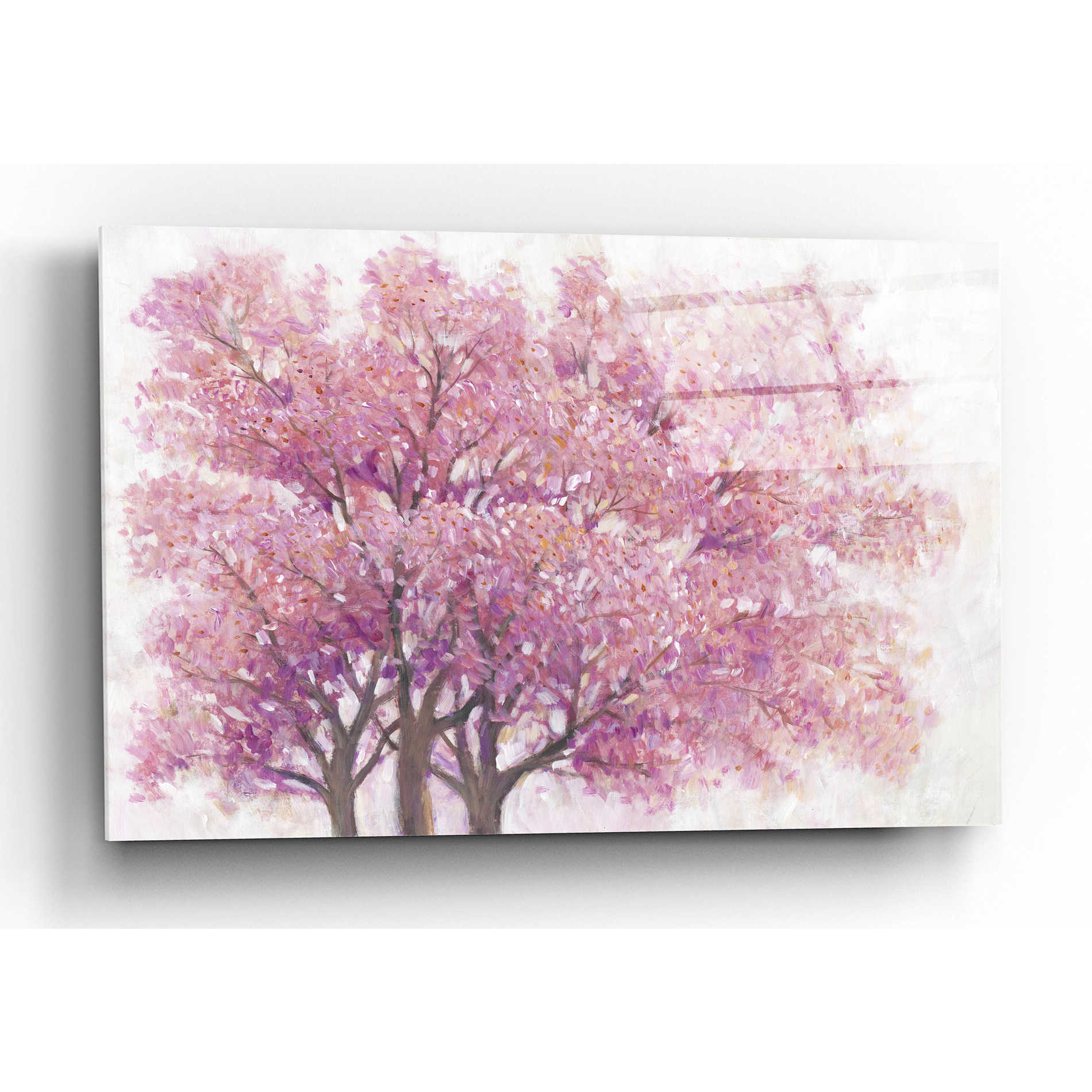 Epic Art 'Pink Cherry Blossom Tree I' by Tim O'Toole, Acrylic Glass Wall Art,16x12