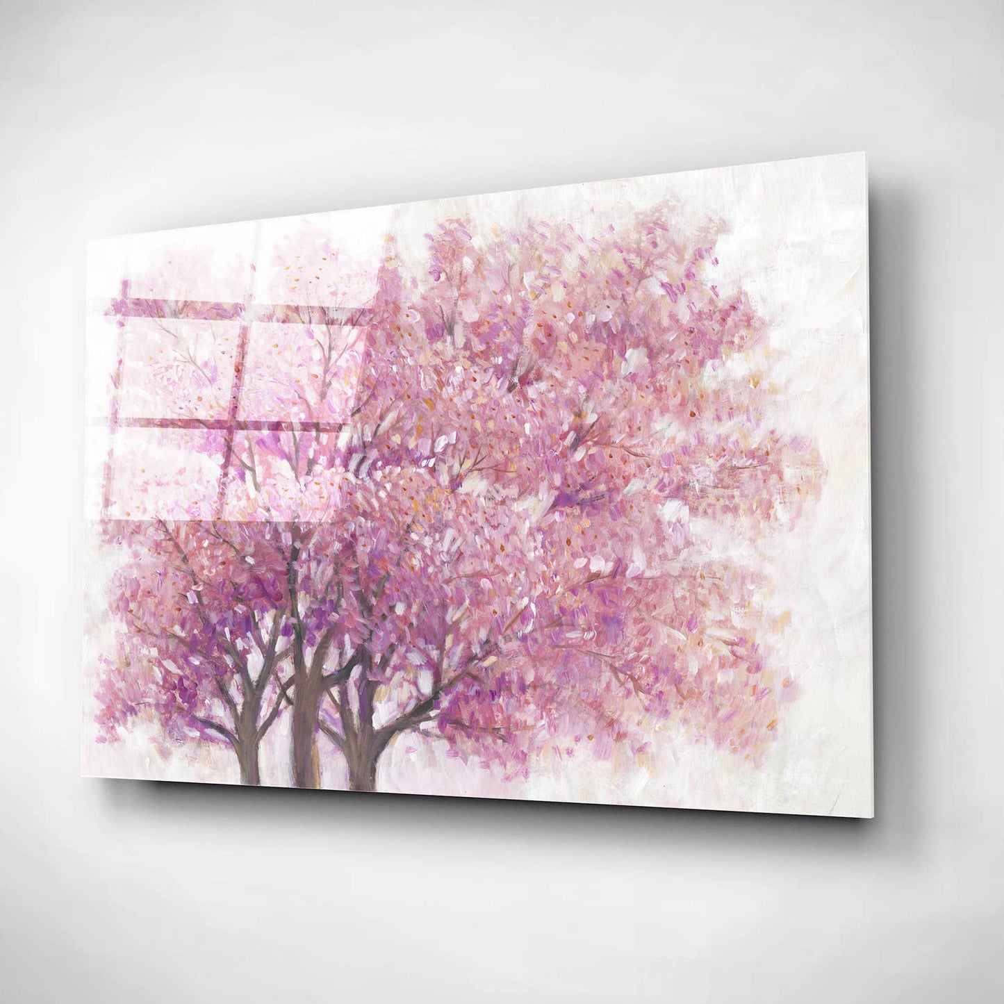 Epic Art 'Pink Cherry Blossom Tree I' by Tim O'Toole, Acrylic Glass Wall Art,24x16