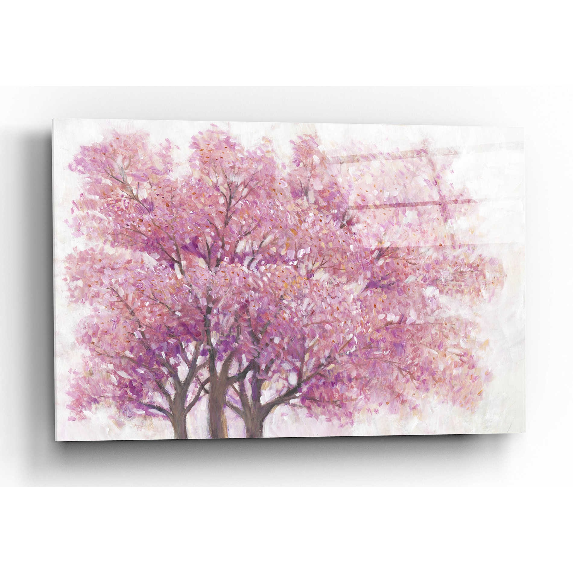 Epic Art 'Pink Cherry Blossom Tree I' by Tim O'Toole, Acrylic Glass Wall Art,24x16